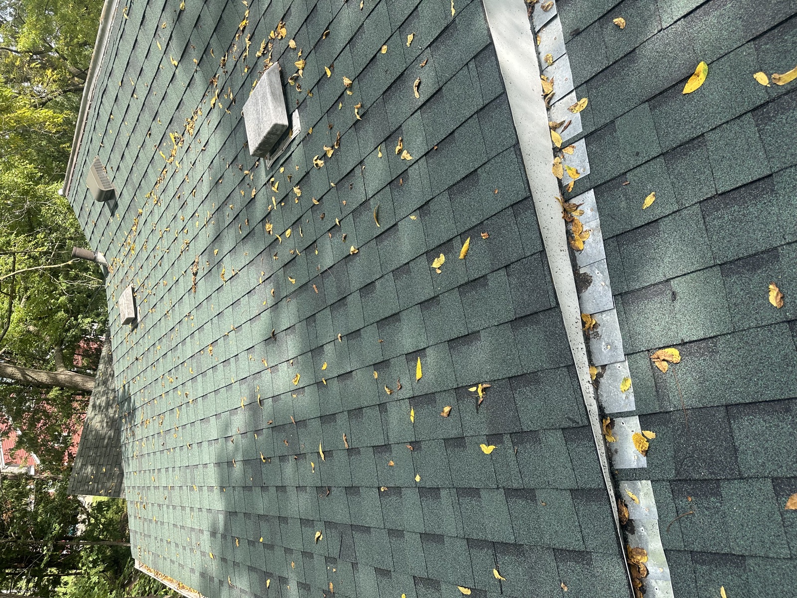 Green shingle roof with yellow leaves and valley